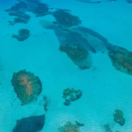 Punzy By Domusaway 公寓 Porto Istana